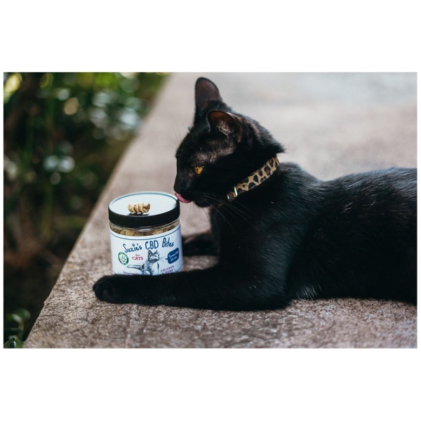 Suzie’s Pet | CBD Bites | For Cats | 100 Count - Image 5