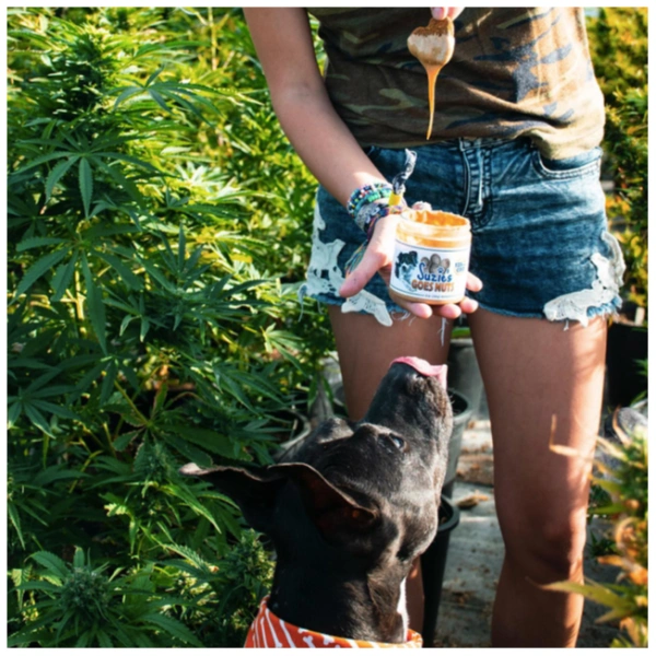 CBD Dog Peanut Butter - The Plug Distribution