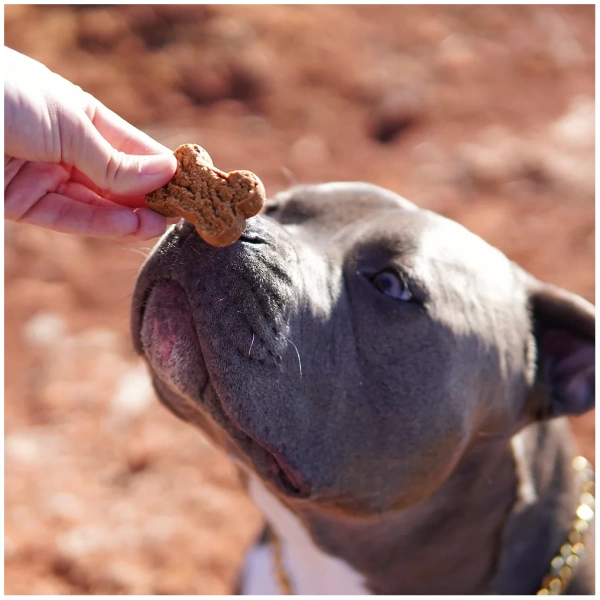 Suzie’s Pet | CBD Bones For Big Dogs | 8mg Per Bone | 25 Count | - Image 8