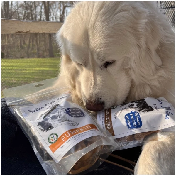 Suzie’s Pet | CBD Bones For Big Dogs | 8mg Per Bone | 25 Count | - Image 7