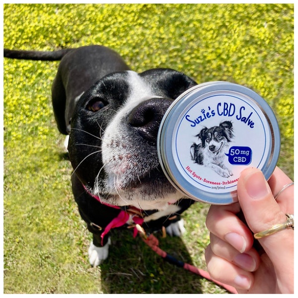 Suzie’s Pet | Salve | CBD | 50mg - Image 2