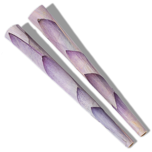 PETALS Lotus King Cones 2pk _ 12 Units _ King Size _ 109mm - The Plug Distribution (2)