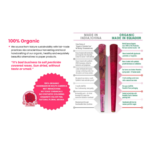 PETALS - Variety Mini Rose Cones 3pk, 12 Units, 70mm - The Plug Distribution
