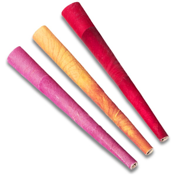 Petals | Rose Bud Mini Cones | 12ct | 3pk | - Image 4